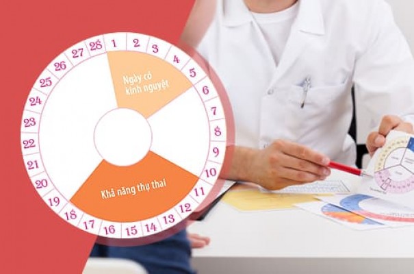 Top 10 cách tính ngày rụng trứng chu kỳ 28-30 ngày chính xác nhất