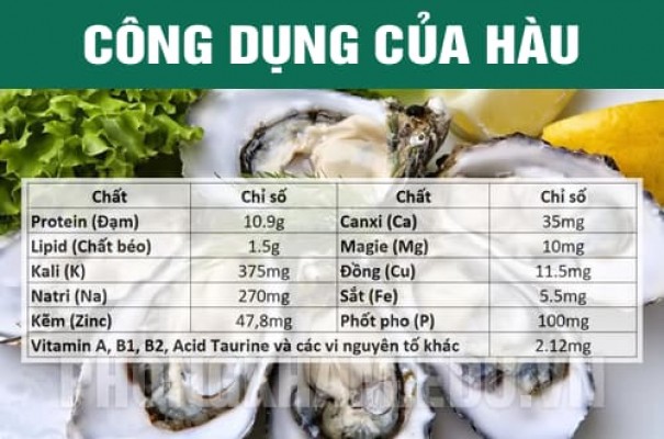 Top 14 công dụng và giá trị dinh dưỡng của hàu đối với sức khỏe