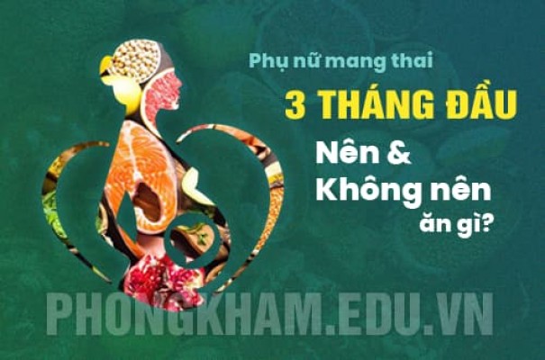 Mang thai trong 3 tháng đầu thai kỳ nên và không nên ăn gì?