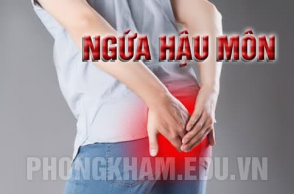 Ngứa hậu môn là gì? nguyên nhân dấu hiệu tác hại và cách chữa trị