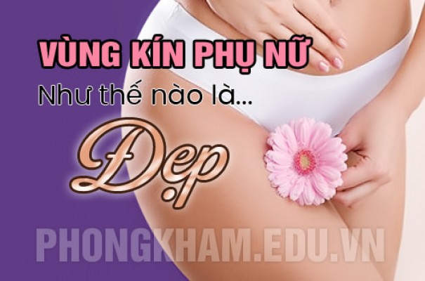 Top 7 tiêu chí đánh giá vùng kín phụ nữ như thế nào là đẹp