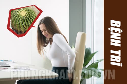 Bệnh trĩ là gì?