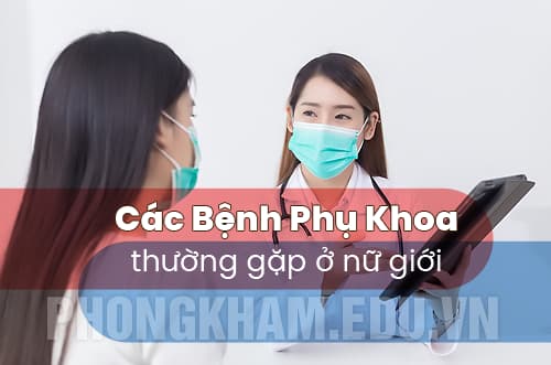 các bệnh phụ khoa thường gặp ở nữ giới
