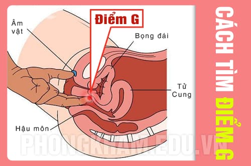 cách tìm điểm G ở nữ giới chính xác