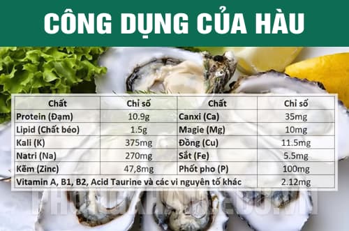 Các công dụng của Hàu với sức khỏe