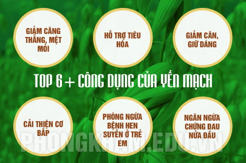 tác dụng của yến mạch tới sức khỏe