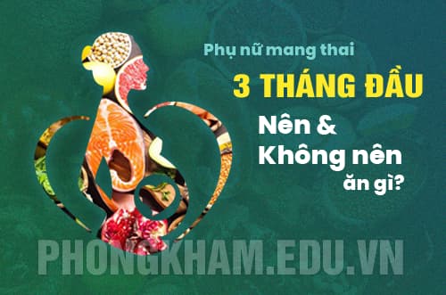 Mang thai trong 3 tháng đầu thai kỳ nên và không nên ăn gì