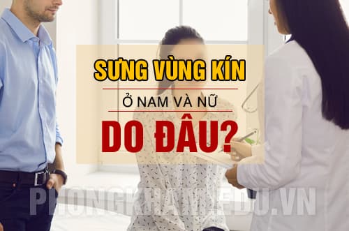Sưng vùng kín ở nam và nữ là bệnh gì? Nguyên nhân do đâu?