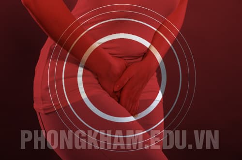 Sưng vùng kín ở nữ giới là bệnh gì
