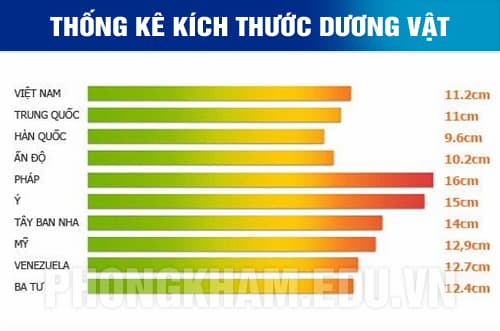 Bảng thống kê kích thước dương vật các nước