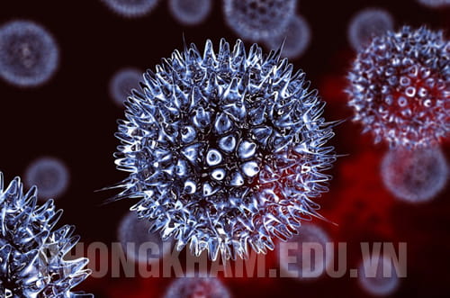 viêm âm đạo do virus hsv